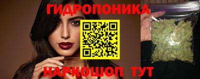 наркотики Новозыбков
